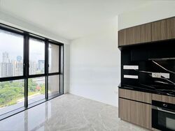 Irwell Hill Residences (D9), Apartment #466580491